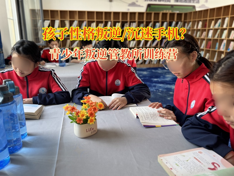 青少年叛逆管教所訓(xùn)練營應(yīng)對孩子通宵玩手機的科學(xué)之策