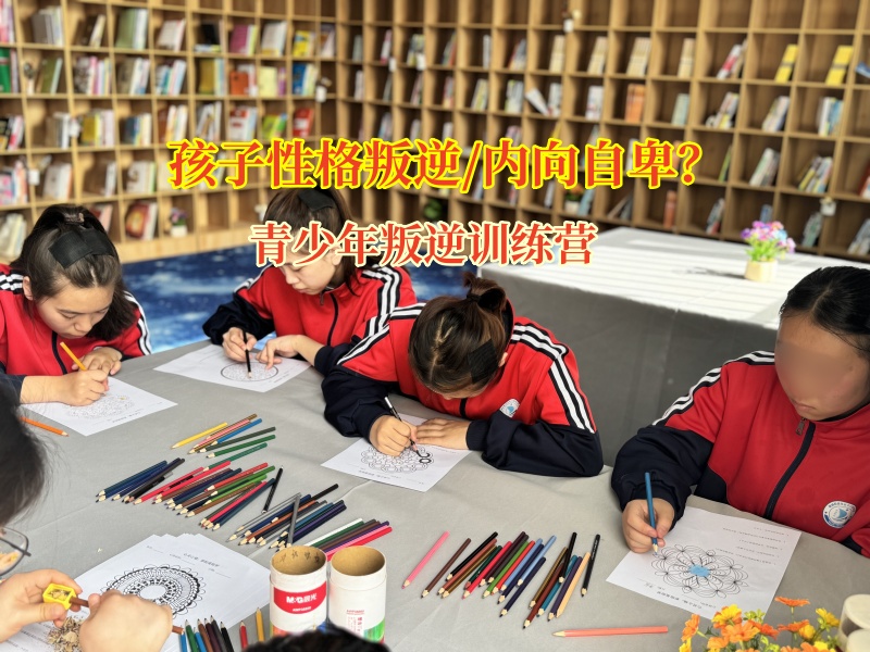 青少年叛逆訓練營打破內向枷鎖