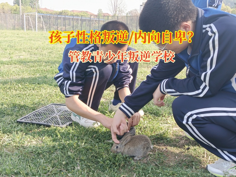 管教青少年叛逆學(xué)校用科學(xué)陪伴為孩子點(diǎn)亮心燈