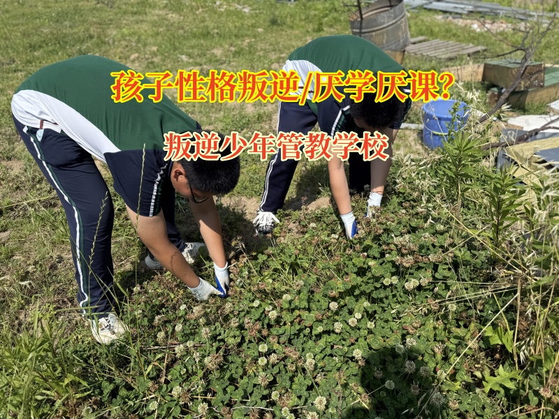 叛逆少年管教學校有效矯正孩子厭學問題