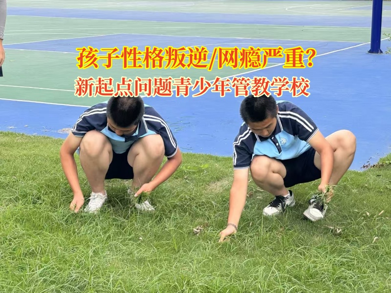 新起點問題青少年管教學(xué)校幫孩子戒網(wǎng)癮