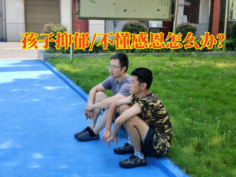 心理輔導(dǎo)學(xué)校,心理問(wèn)題孩子學(xué)校